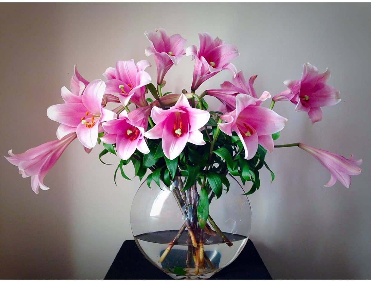 Tử vi hàng ngày - Thứ Sáu 25/11/2022 của 12 cung hoàng đạo